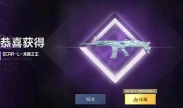 枪皮最新爆料实战效果,真实战场上的惊艳表现