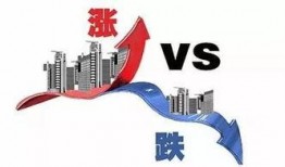 晨曦最新爆料,揭秘娱乐圈最新热点事件内幕
