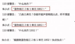 西安周至爆料案件最新,真相揭开，疑云散去，正义终将到来”