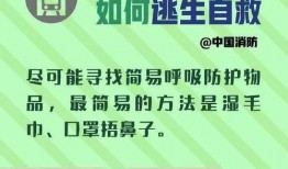 地铁逃生先行服最新爆料,揭秘最新爆料，守护生命安全新利器