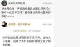 卓伟最新爆料鹿晗韩国,卓伟最新爆料曝光惊人细节