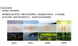 惠州爆料头条今天最新,揭秘神秘事件背后的真相！