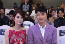 张丹峰和洪欣最新爆料,最新爆料揭露惊人内幕