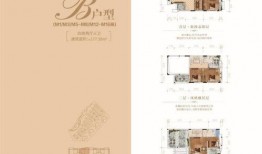 惠州爆料头条今天最新,揭秘神秘事件背后的真相！