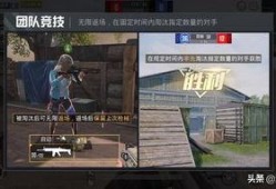 和平精英爆料信息最新版,全新内容与优化，带你领略战场新体验